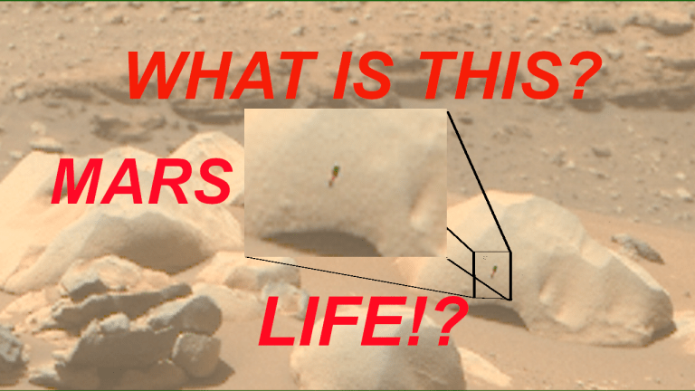 MARS Life? Plant-Like Structure Analysis